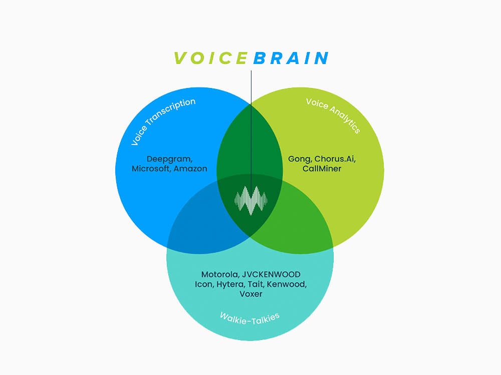 VoiceBrain screenshot 4