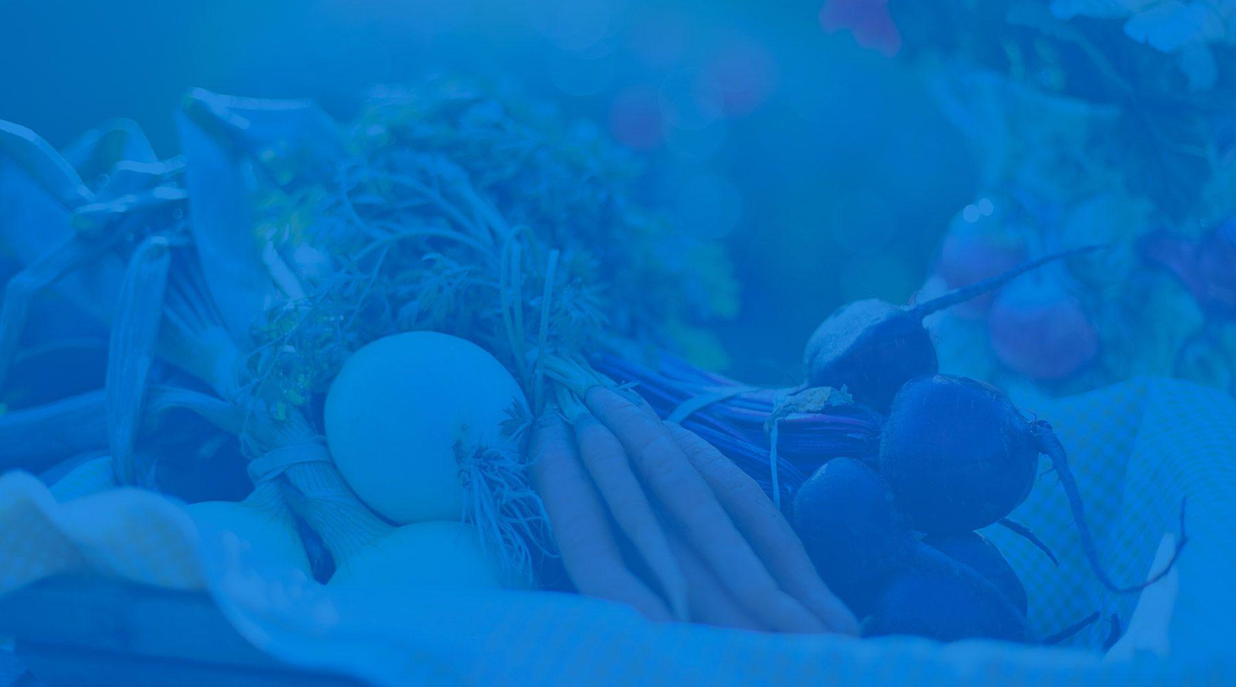 Where Food Comes From case study